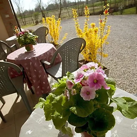 Venice House 3*